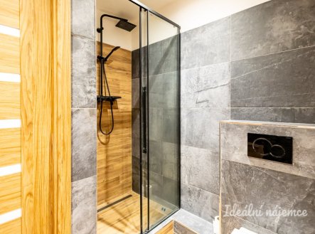 Pronájem bytu, 1+kk, 29 m²