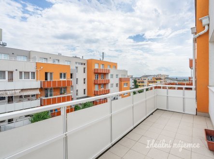 Pronájem bytu, 1+kk, 32 m²
