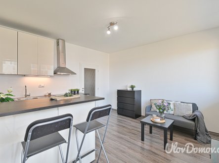 Prodej bytu, 1+kk, 39 m²