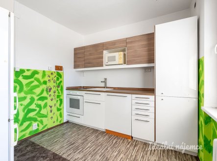 Pronájem bytu, 1+1, 47 m²