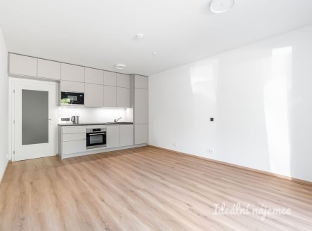Pronájem bytu, 1+kk, 34 m²