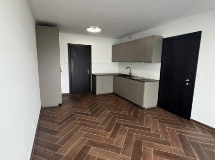 Pronájem bytu, 2+kk, 47 m²