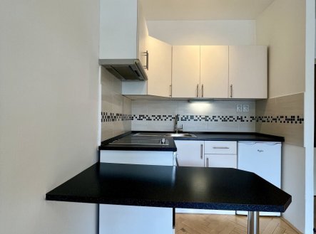 Pronájem bytu, 1+kk, 27 m²