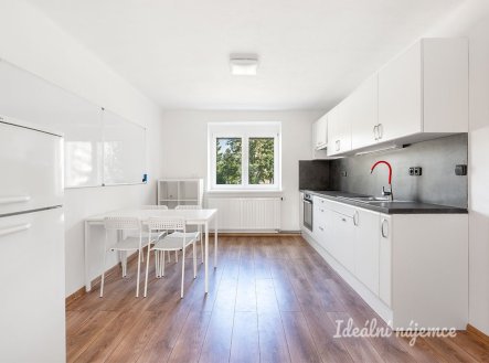 Pronájem bytu, 2+1, 54 m²