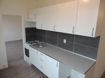 Pronájem bytu, 3+1, 60 m²