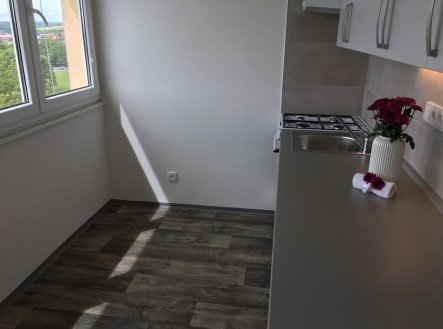 Pronájem bytu, 1+1, 35 m²