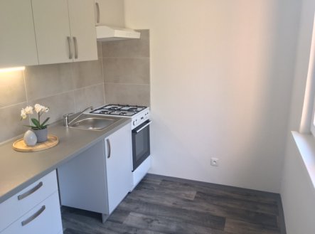 Pronájem bytu, 1+1, 40 m²