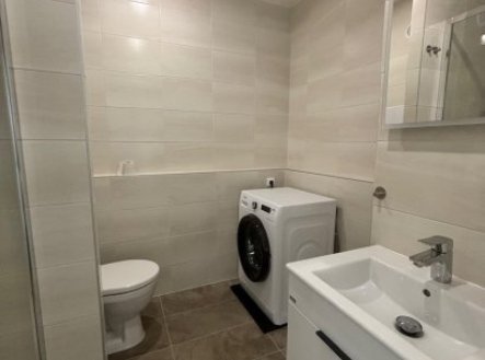 Pronájem bytu, 1+1, 31 m²