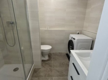 Pronájem bytu, 1+1, 31 m²