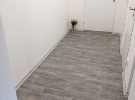 Pronájem bytu, 2+1, 55 m²
