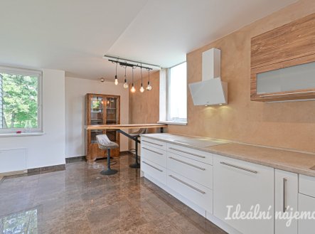 Pronájem bytu, 5+kk, 140 m²