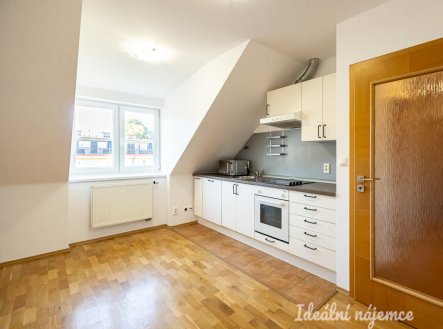 Pronájem bytu, 2+1, 55 m²