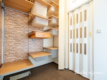 Pronájem bytu, 1+1, 29 m²