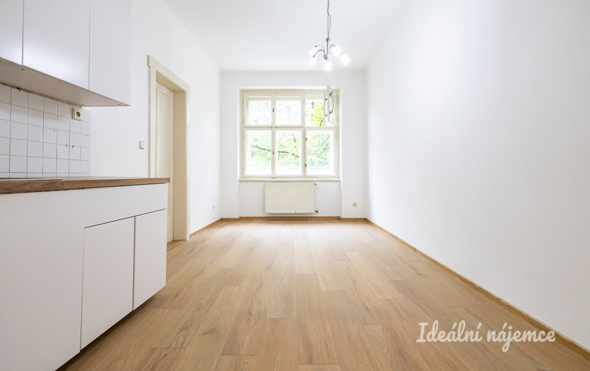 Pronájem bytu 2+kk, Prouzova, Vysočany, 52 m2