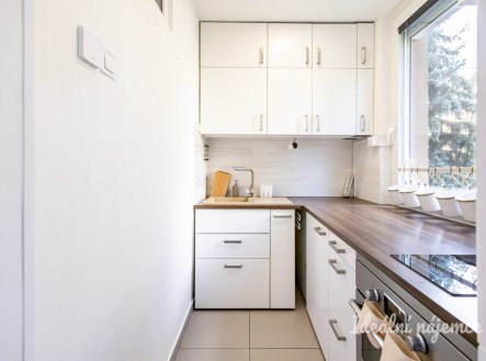 Pronájem bytu, 1+1, 31 m²
