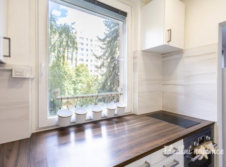 Pronájem bytu, 1+1, 31 m²