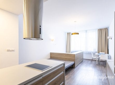 Pronájem bytu, 1+kk, 38 m²