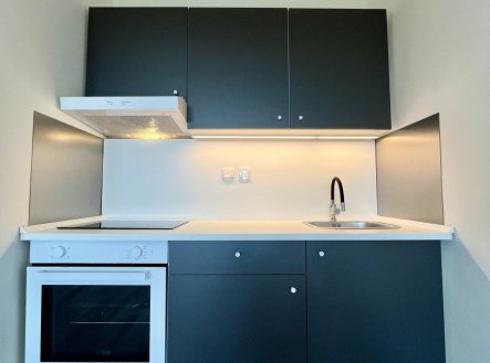 Pronájem bytu, 1+kk, 28 m²