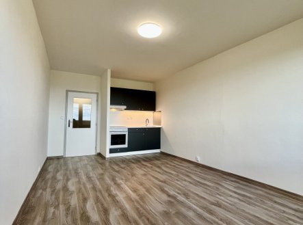 Pronájem bytu, 1+kk, 28 m²