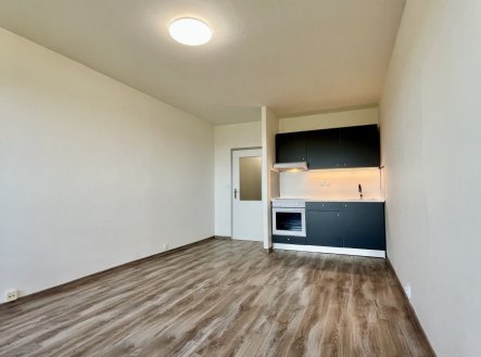 Pronájem bytu, 1+kk, 28 m²