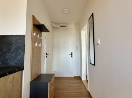 Pronájem bytu, 1+1, 38 m²