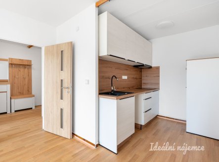 Pronájem bytu, 2+kk, 42 m²