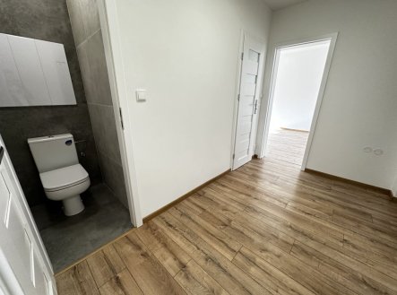 Pronájem bytu, 2+1, 50 m²