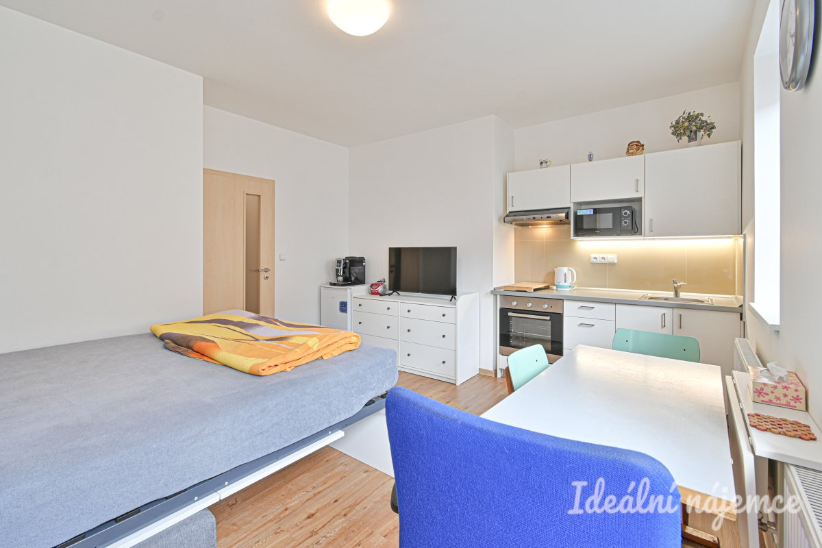 Pronájem bytu 1+kk, Hostinského, Královo Pole, 15500 Kč/měs, 25 m2