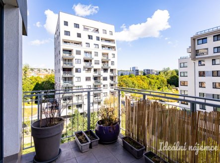 Pronájem bytu, 1+kk, 32 m²