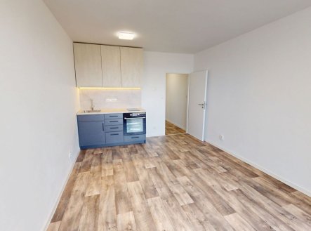 Pronájem bytu, 1+kk, 28 m²