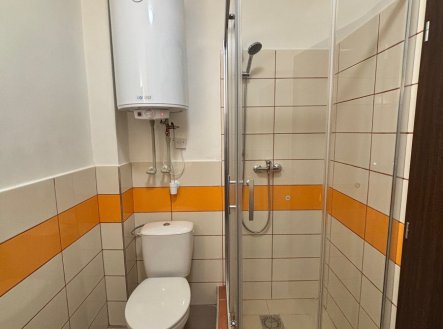 Pronájem bytu, 1+kk, 31 m²