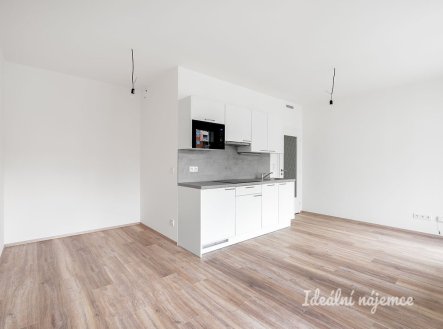 Pronájem bytu, 1+kk, 32 m²