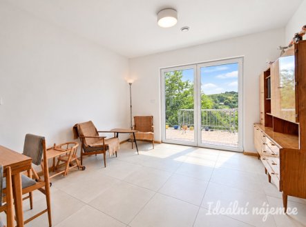 Pronájem domu/vily, 96 m²