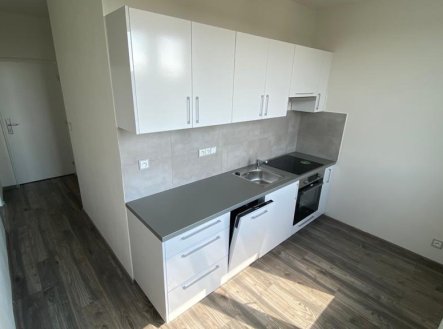Pronájem bytu, 2+1, 53 m²
