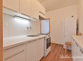 Pronájem bytu, 2+1, 38 m²