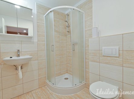 Pronájem bytu, 1+kk, 25 m²