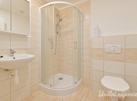 Pronájem bytu, 1+kk, 26 m²