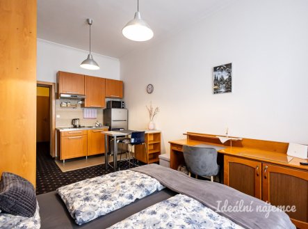 Pronájem bytu, 1+kk, 26 m²