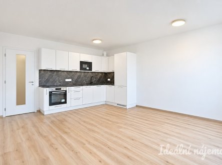 Pronájem bytu, 1+kk, 42 m²