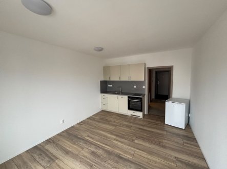 Pronájem bytu, 1+kk, 27 m²