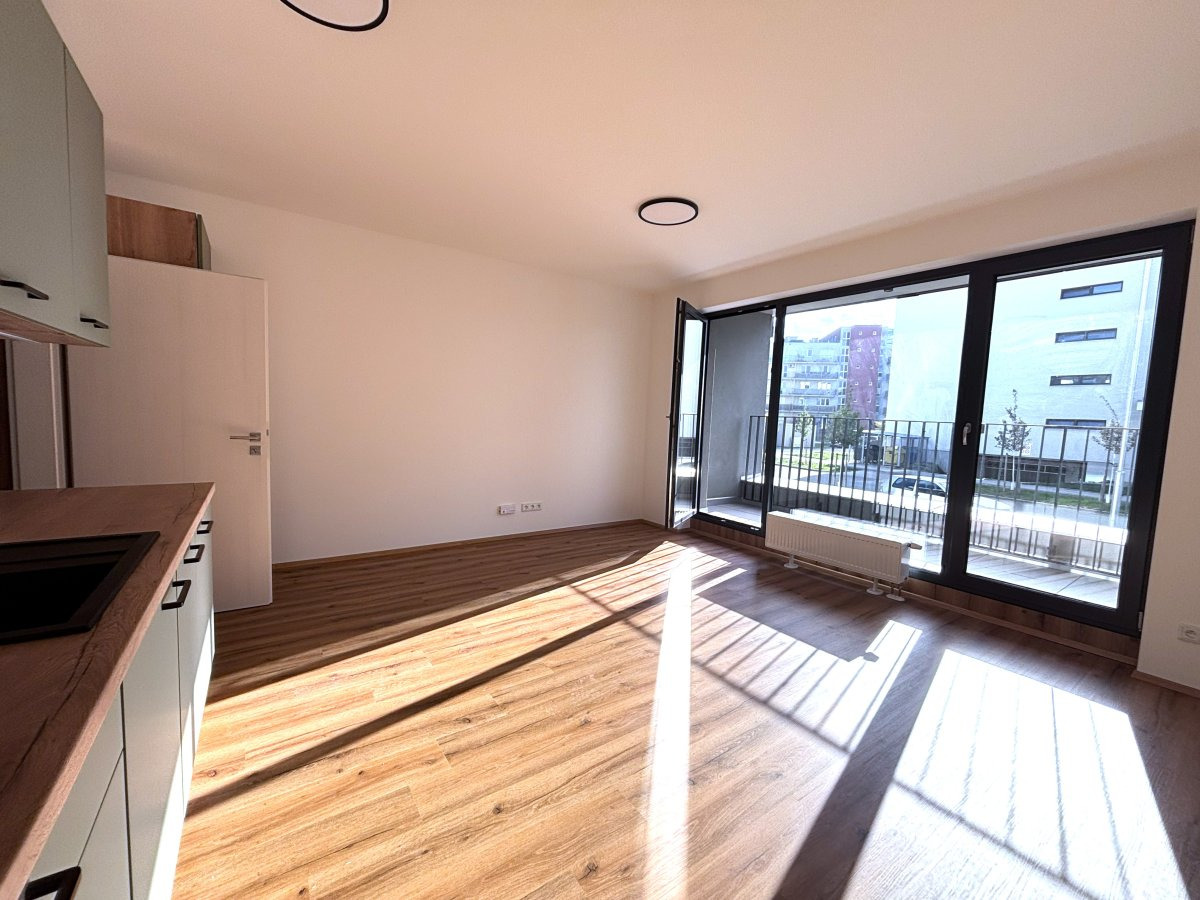 Pronájem bytu 1+kk, Železná, Plzeň, 13000 Kč/měs, 35 m2