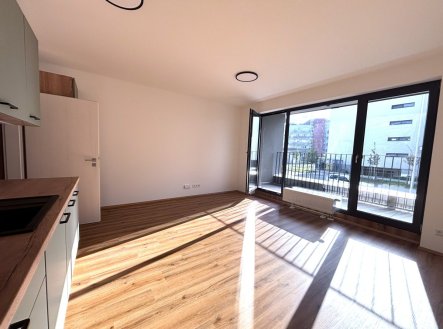 Pronájem bytu, 1+kk, 35 m²