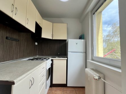 Pronájem bytu, 1+1, 30 m²