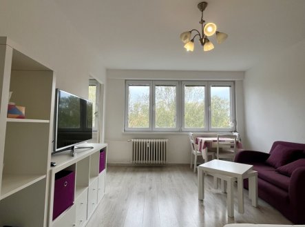 Pronájem bytu, 1+1, 30 m²
