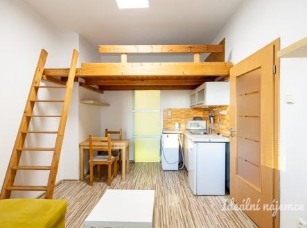 Pronájem bytu, garsoniéra, 20 m²