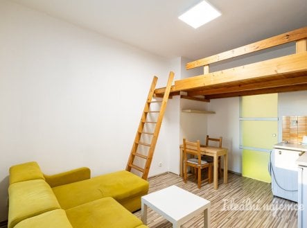 Pronájem bytu, garsoniéra, 20 m²