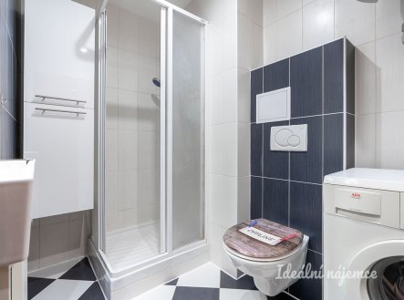 Pronájem bytu, 1+1, 43 m²