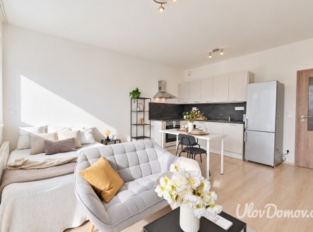 Prodej bytu, 1+kk, 33 m²
