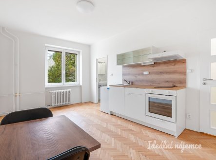 Pronájem bytu, garsoniéra, 20 m²
