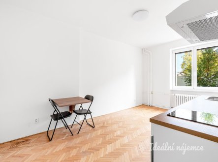 Pronájem bytu, garsoniéra, 20 m²